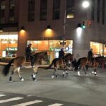 New_York_NYPD-Horses