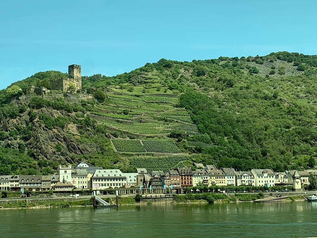 Burgruine am Rhein